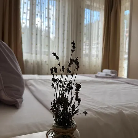 Apartment Stenata Sport Pamporovo