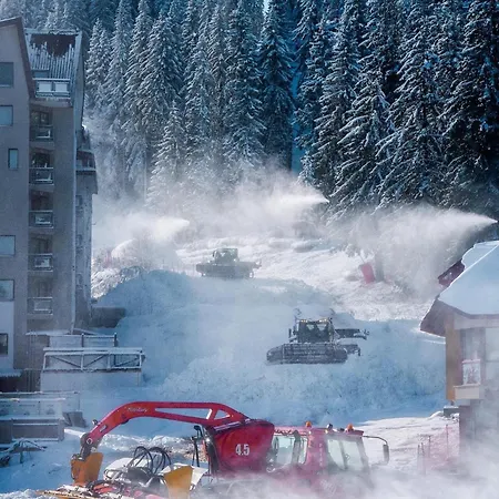 Stenata Sport * Pamporovo
