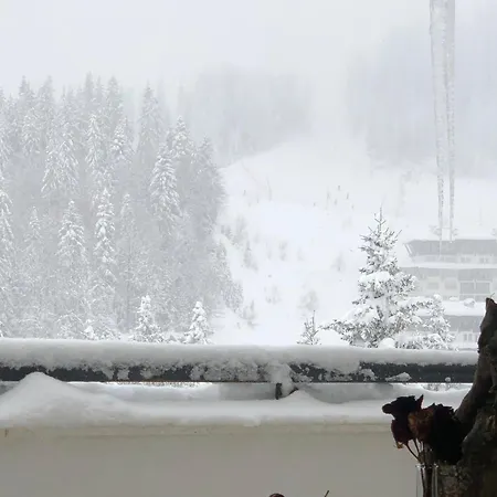 Stenata Sport * Pamporovo