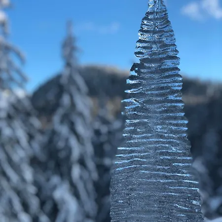 Stenata Sport * Pamporovo