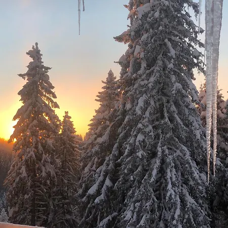 Stenata Sport Apartment Pamporovo
