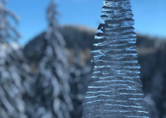 Stenata Sport * Pamporovo