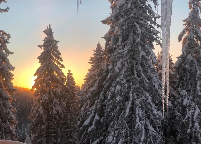 Stenata Sport Apartmán Pamporovo